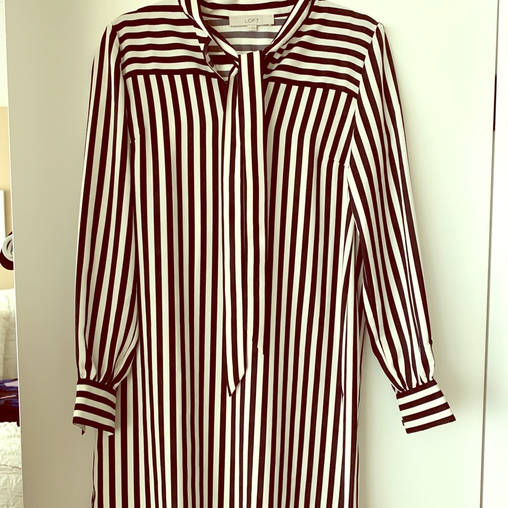 Ann Taylor Loft Dress